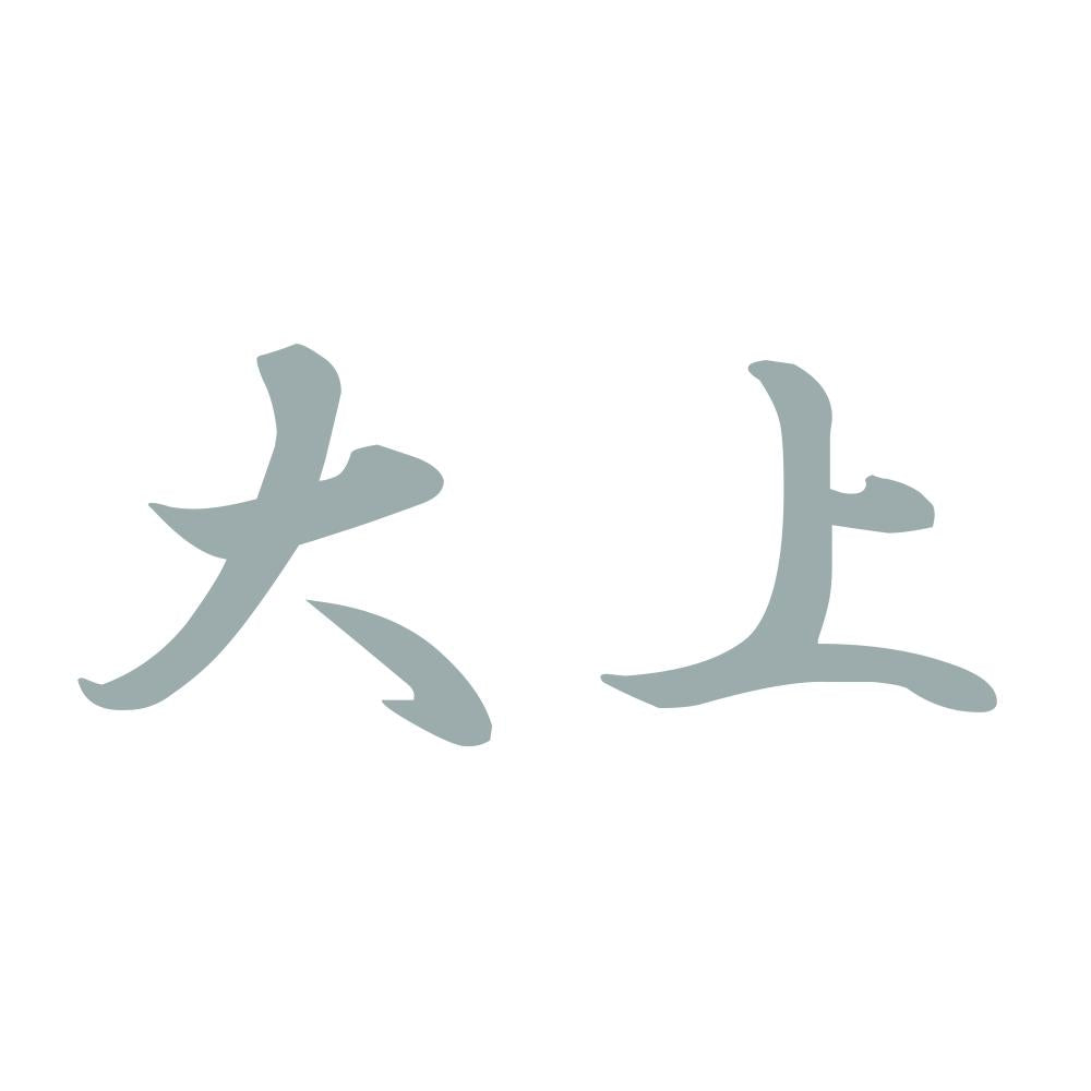 大上 10