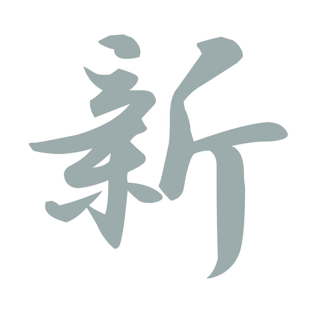 新 10