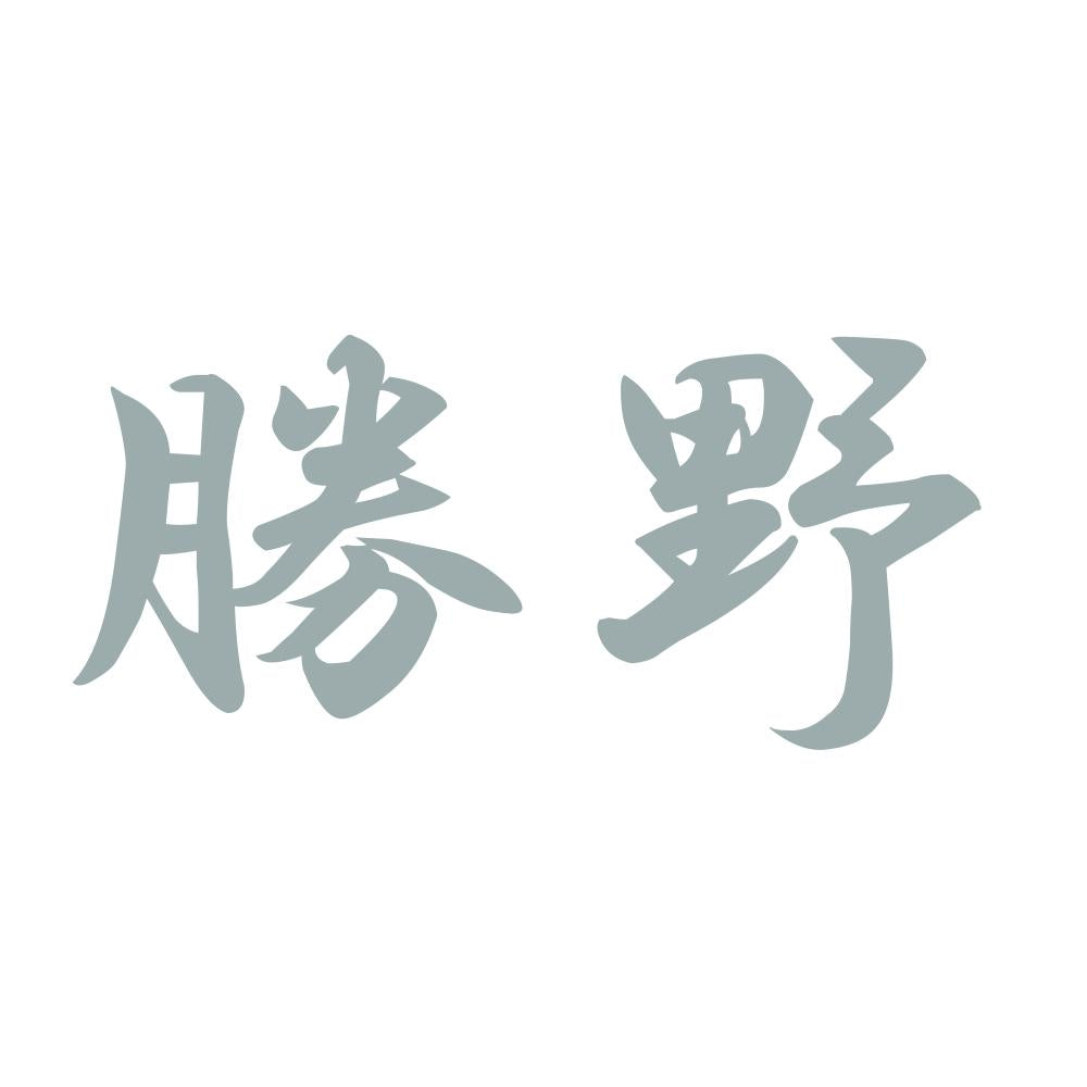 勝野 10