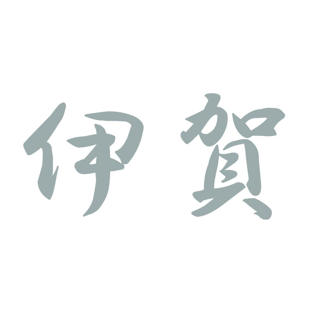 伊賀 10