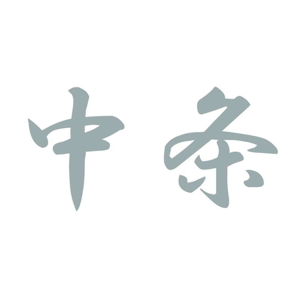 中条 10