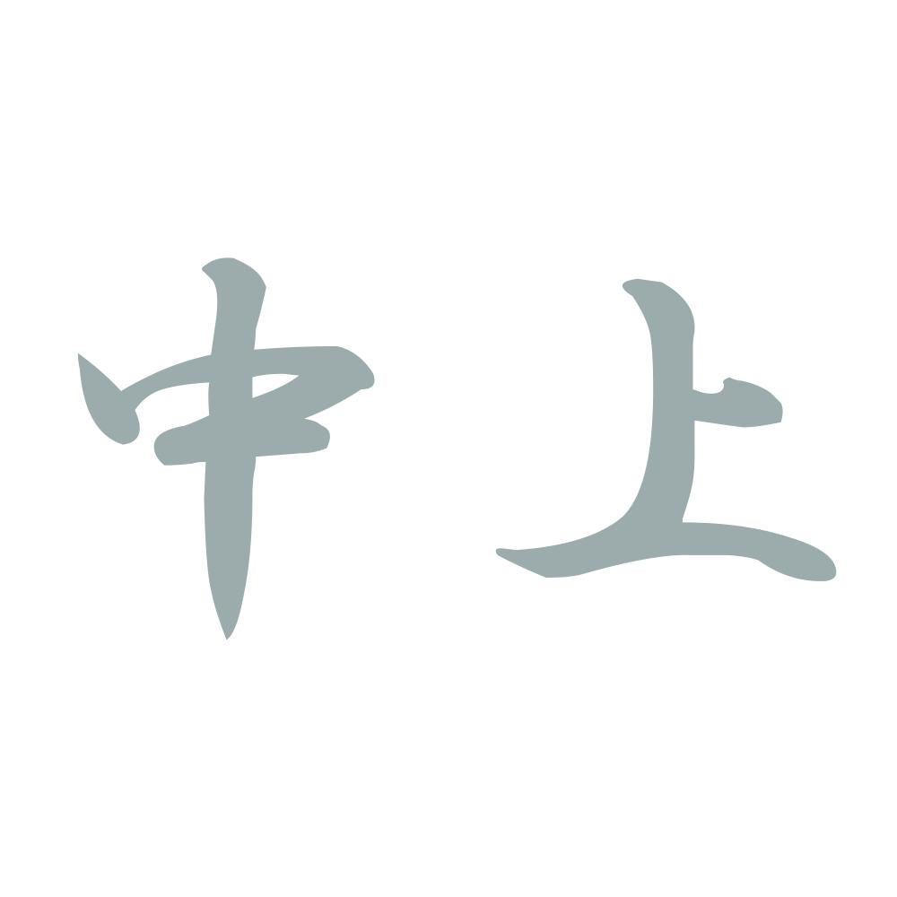 中上 10