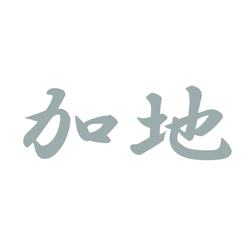 加地 10