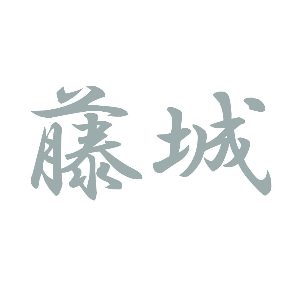藤城 10