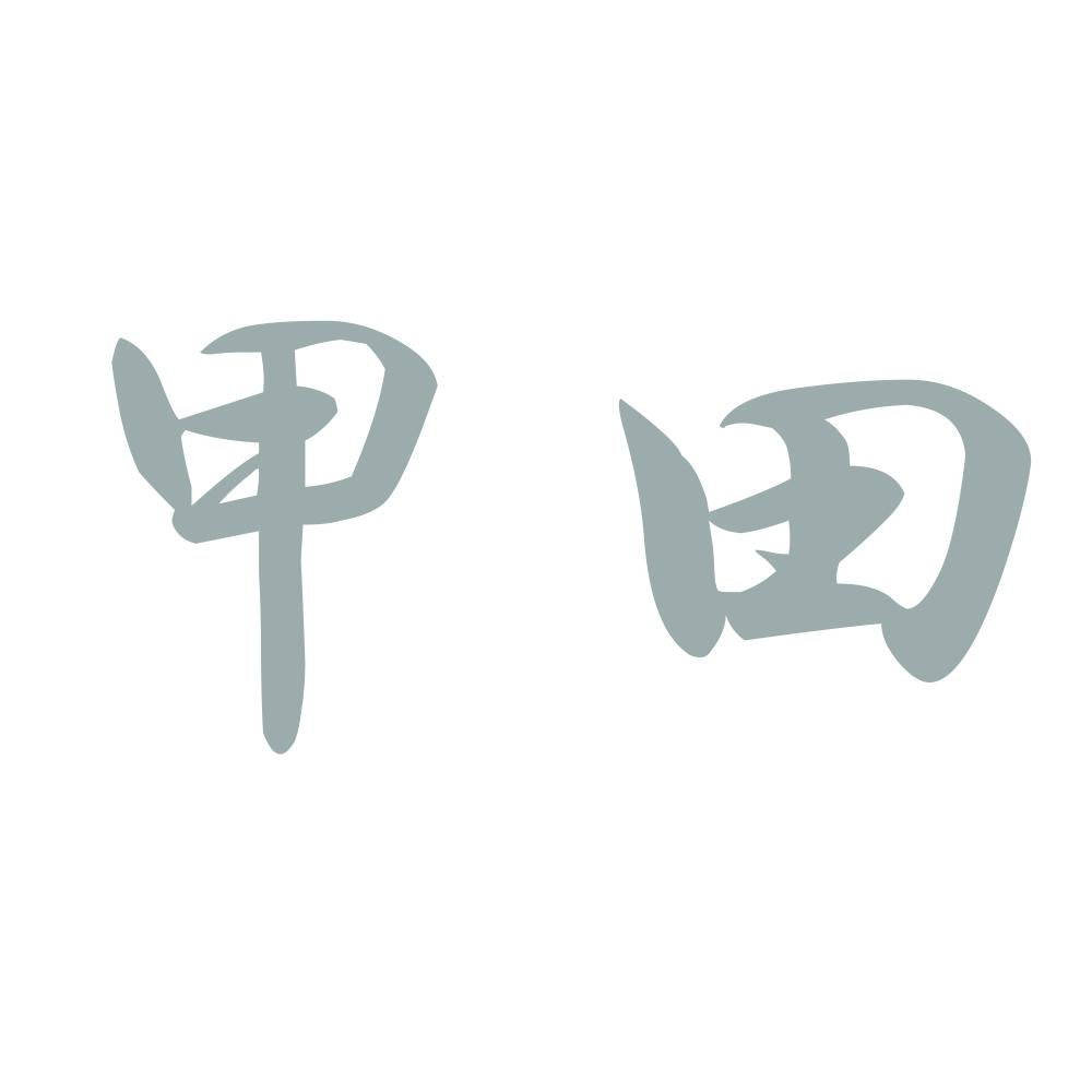 甲田 10