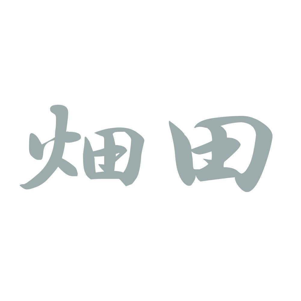 畑田 10