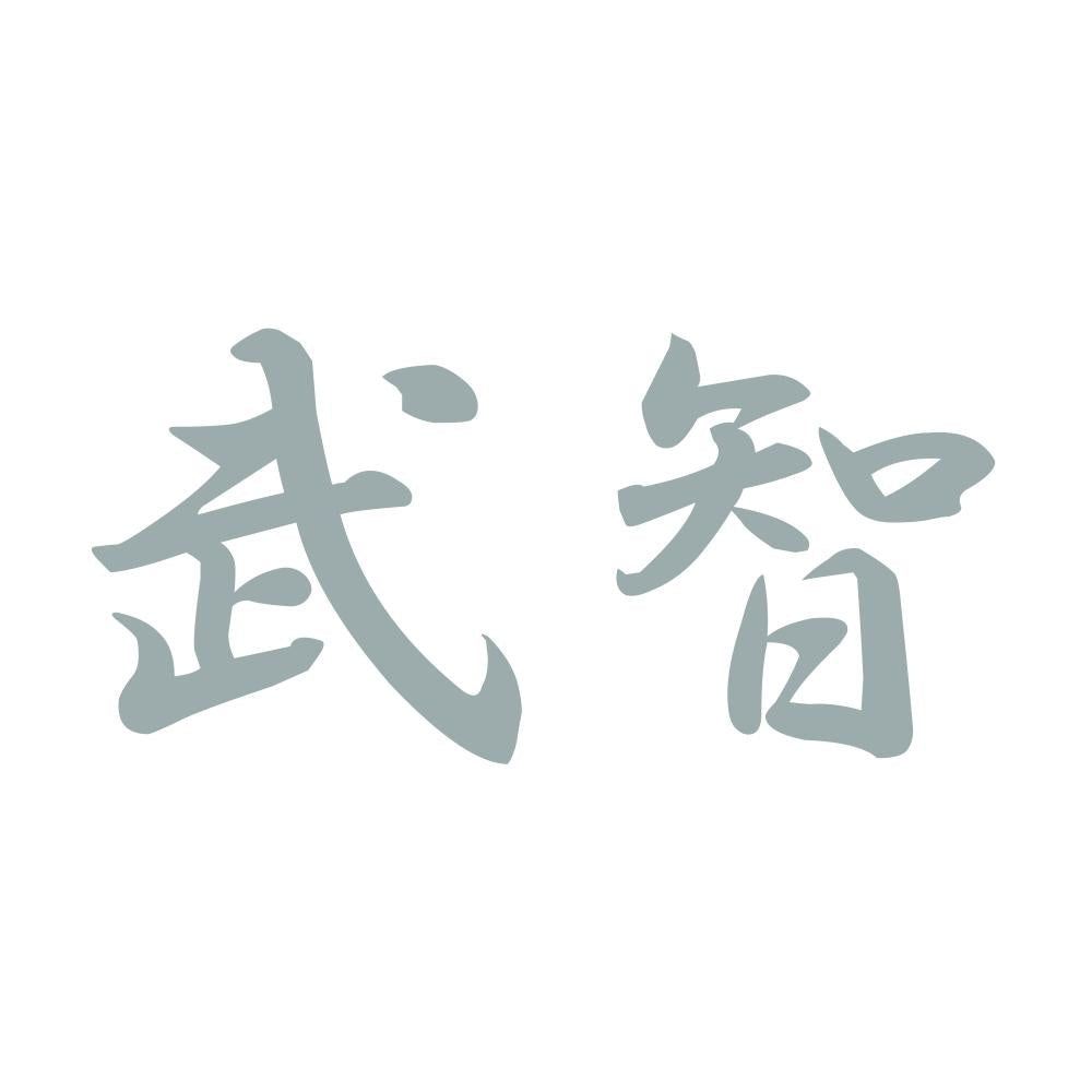 武智 10