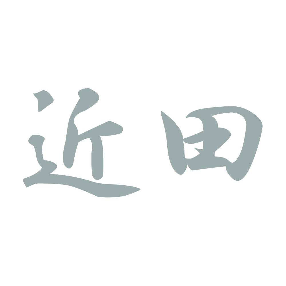 近田 10