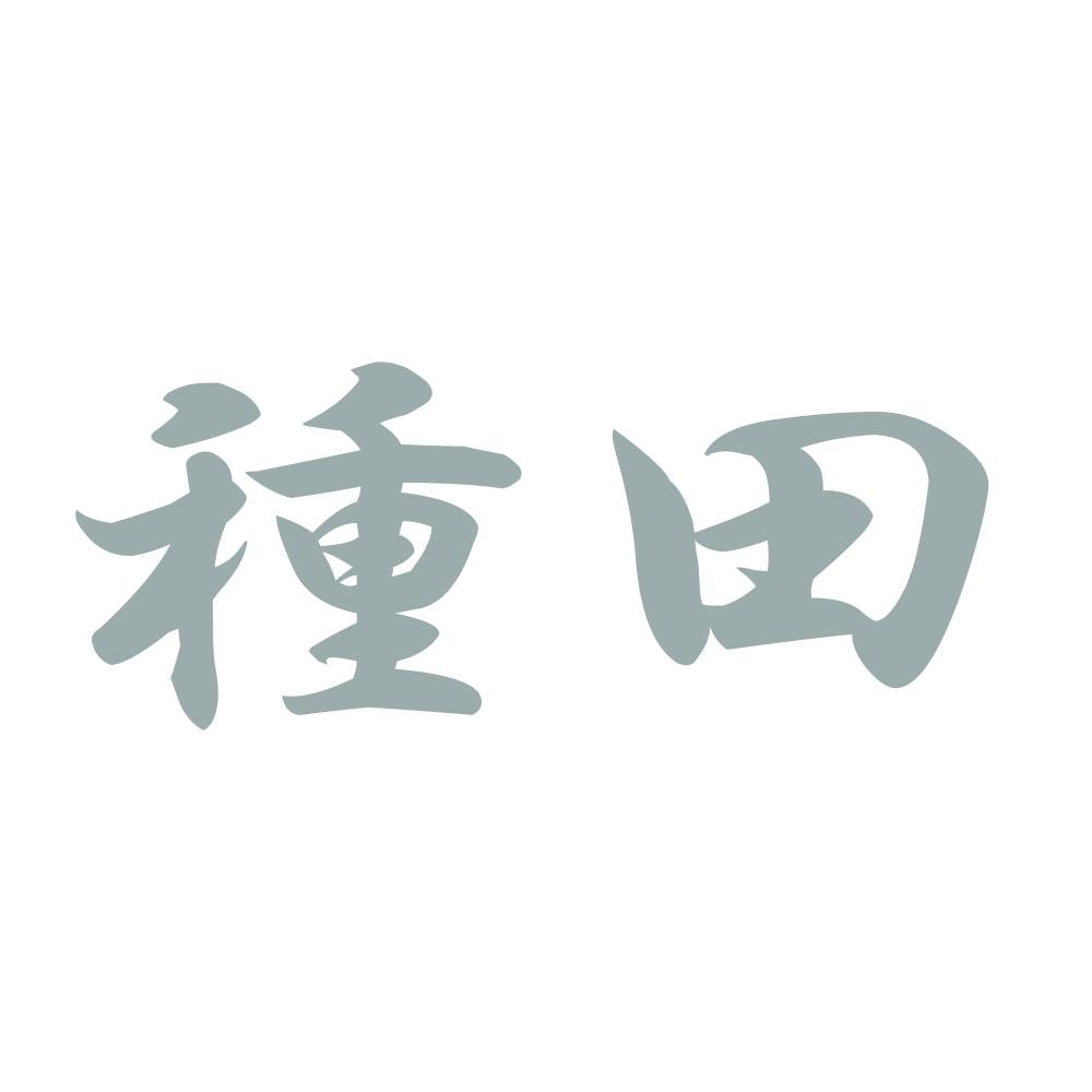 種田 10