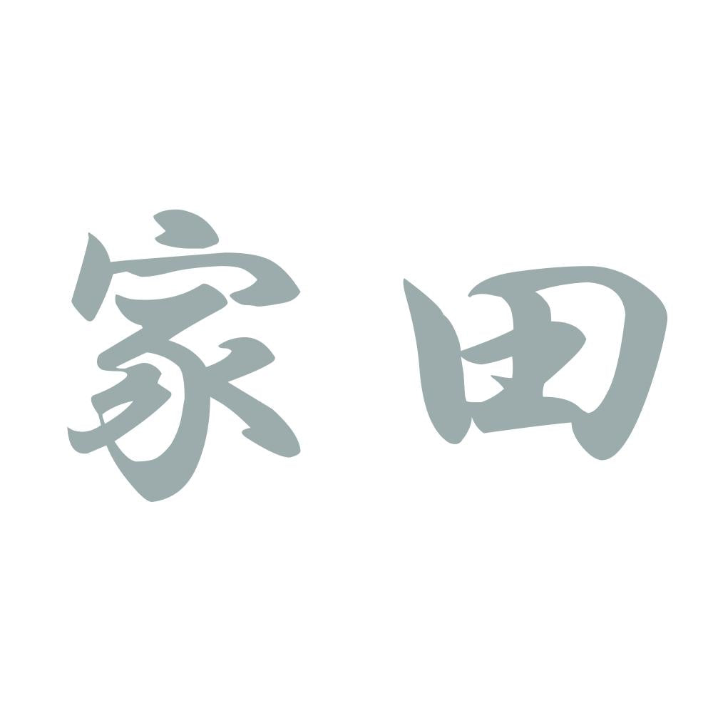 家田 10