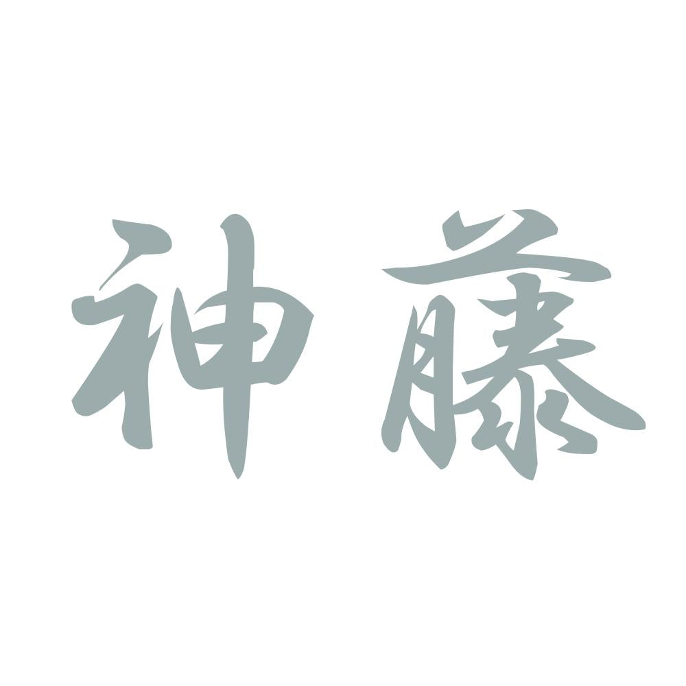 神藤 10