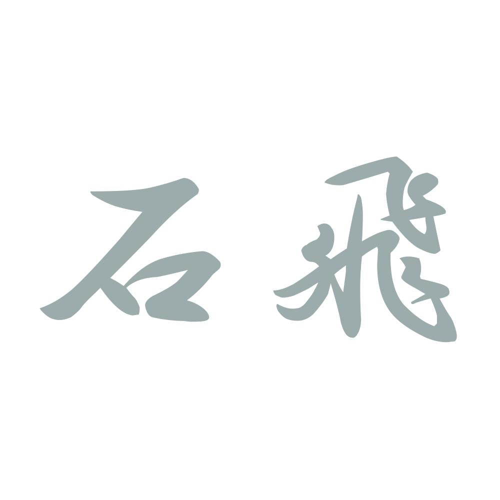 石飛 10