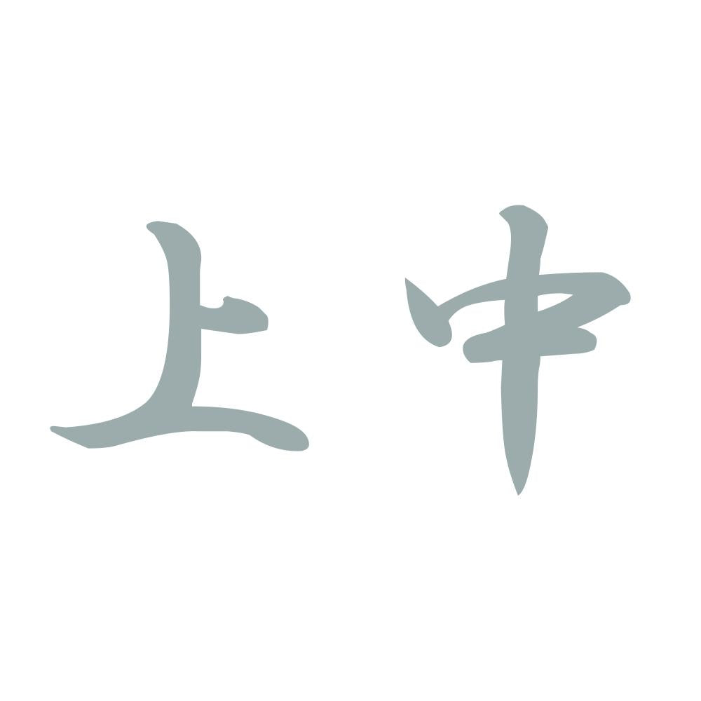 上中 10