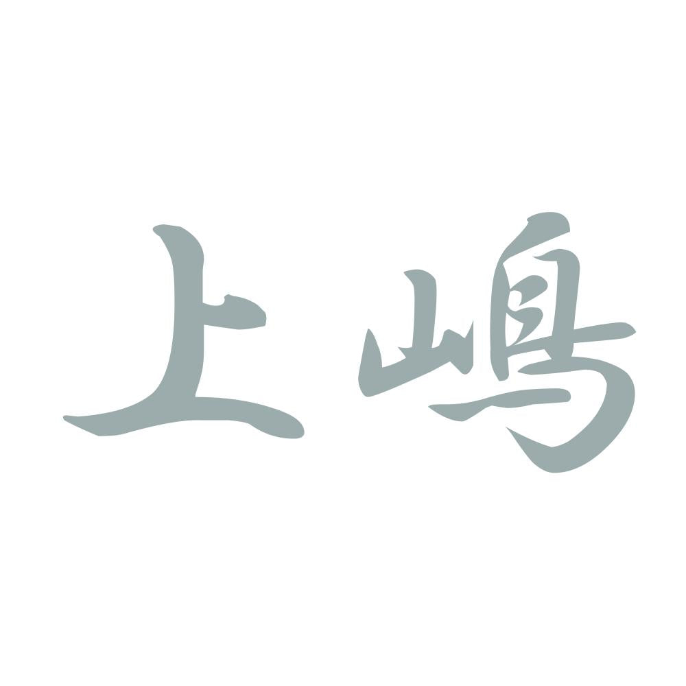 上嶋 10