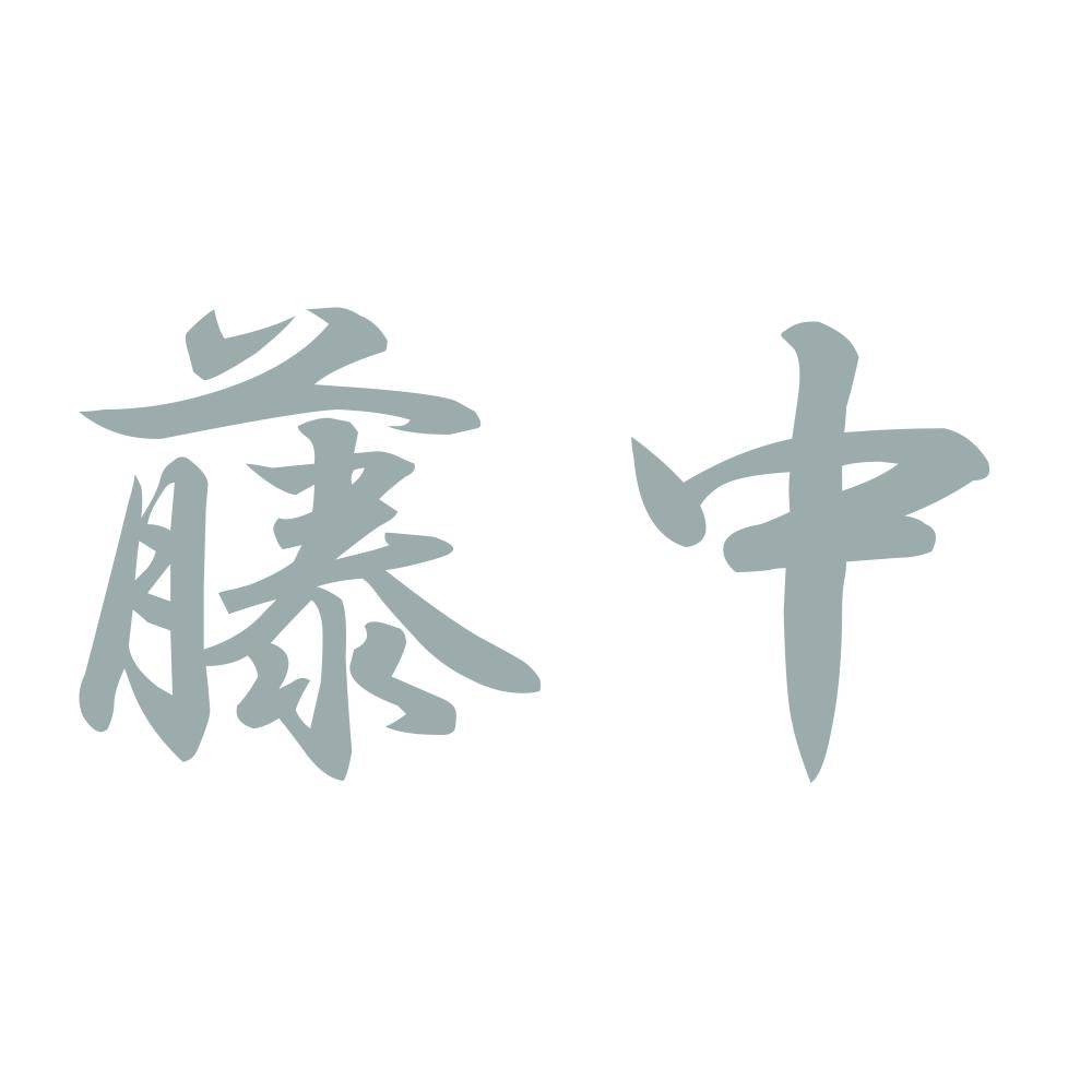 藤中 10