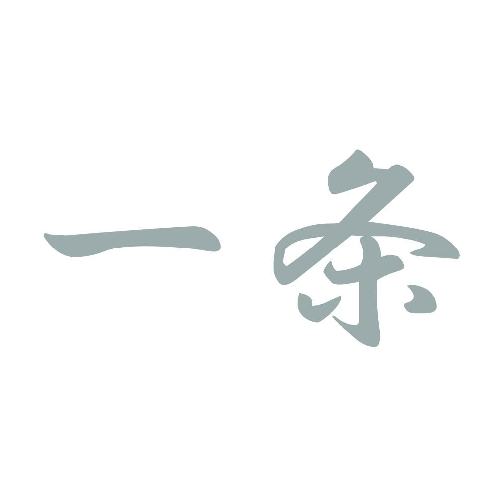 一条 10