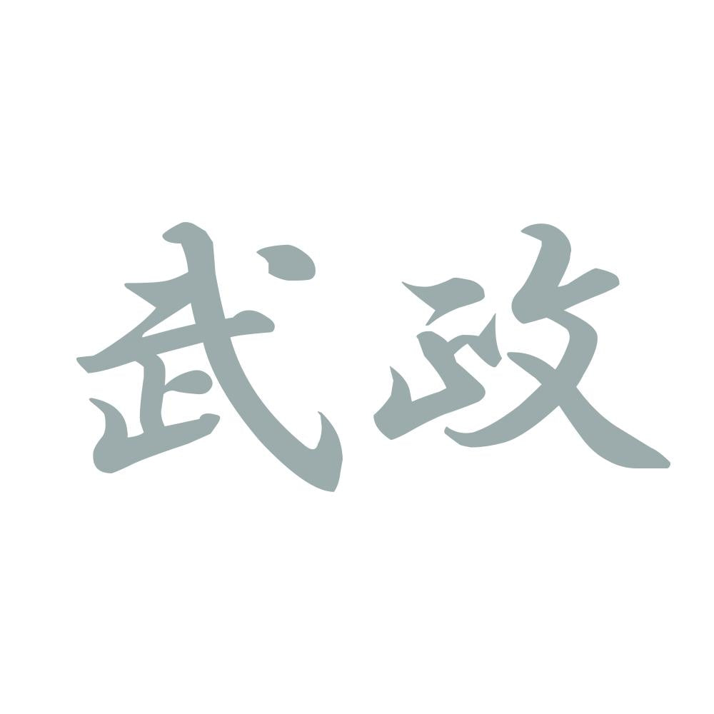 武政 10