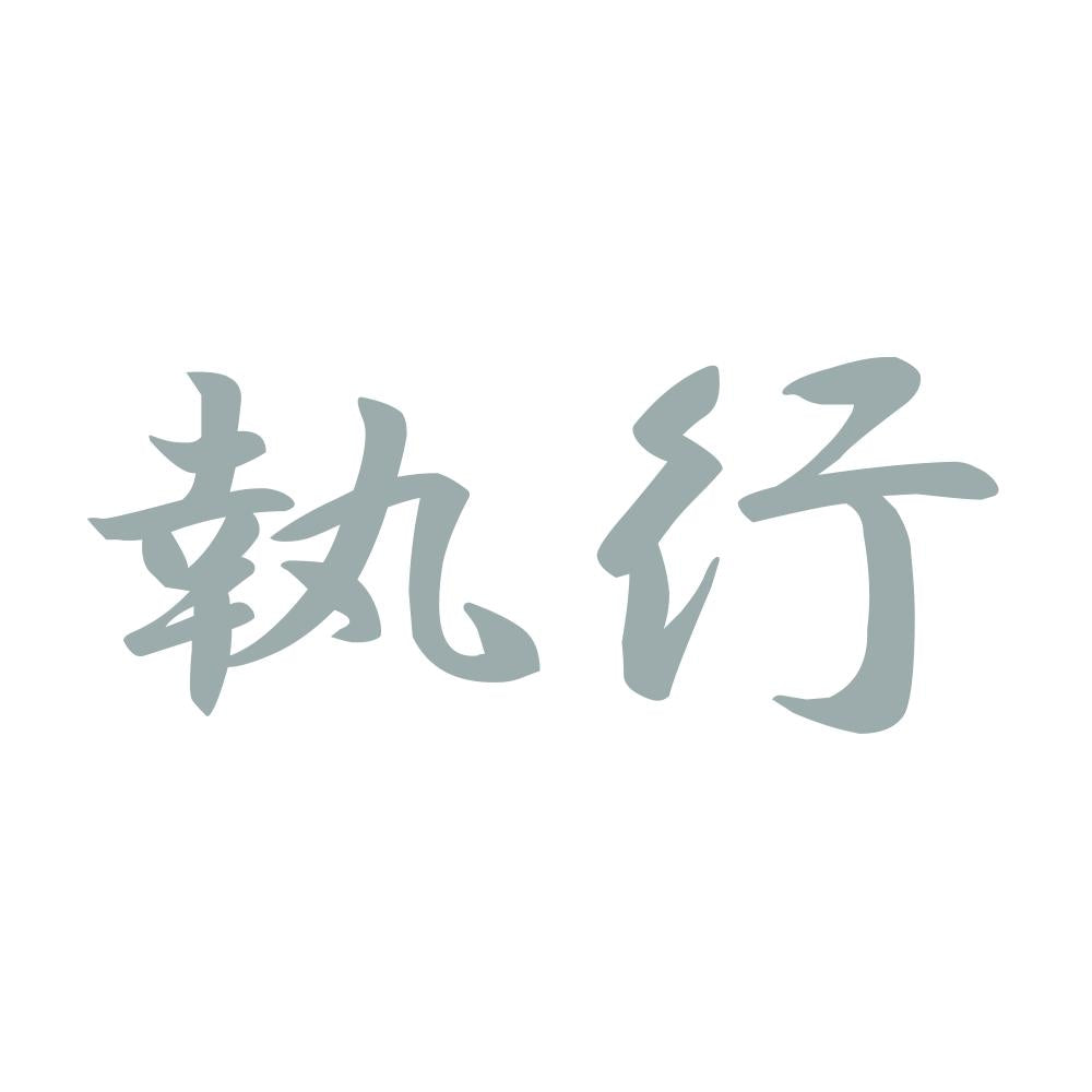 執行 10