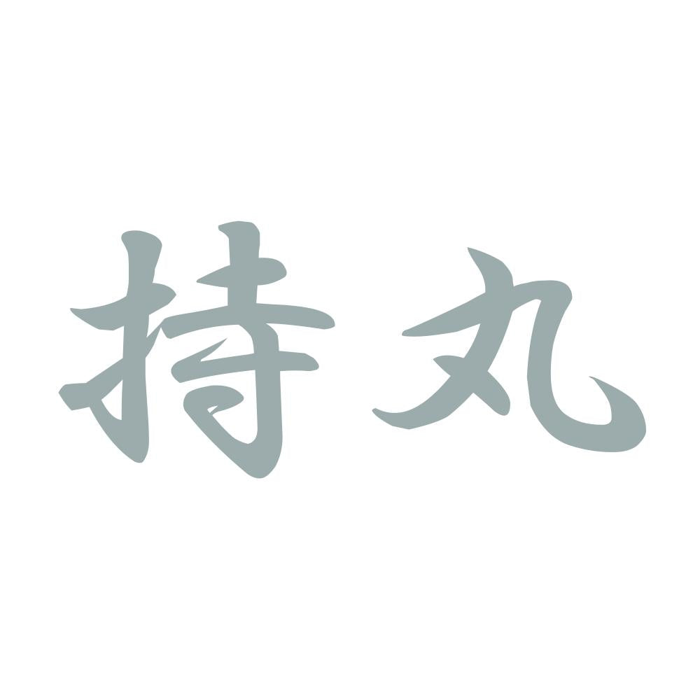 持丸 10