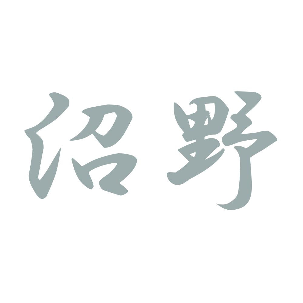 沼野 10