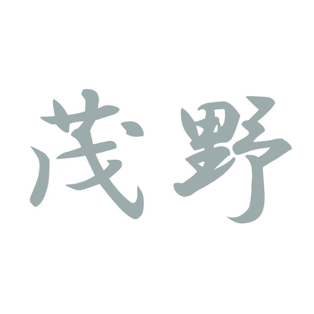 茂野 10