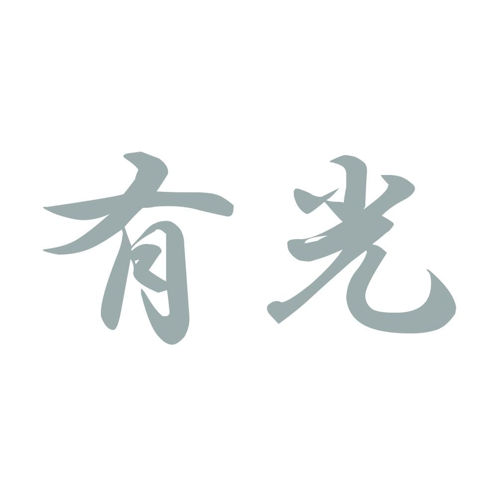 有光 10