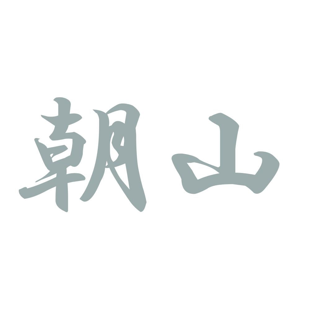 朝山 10