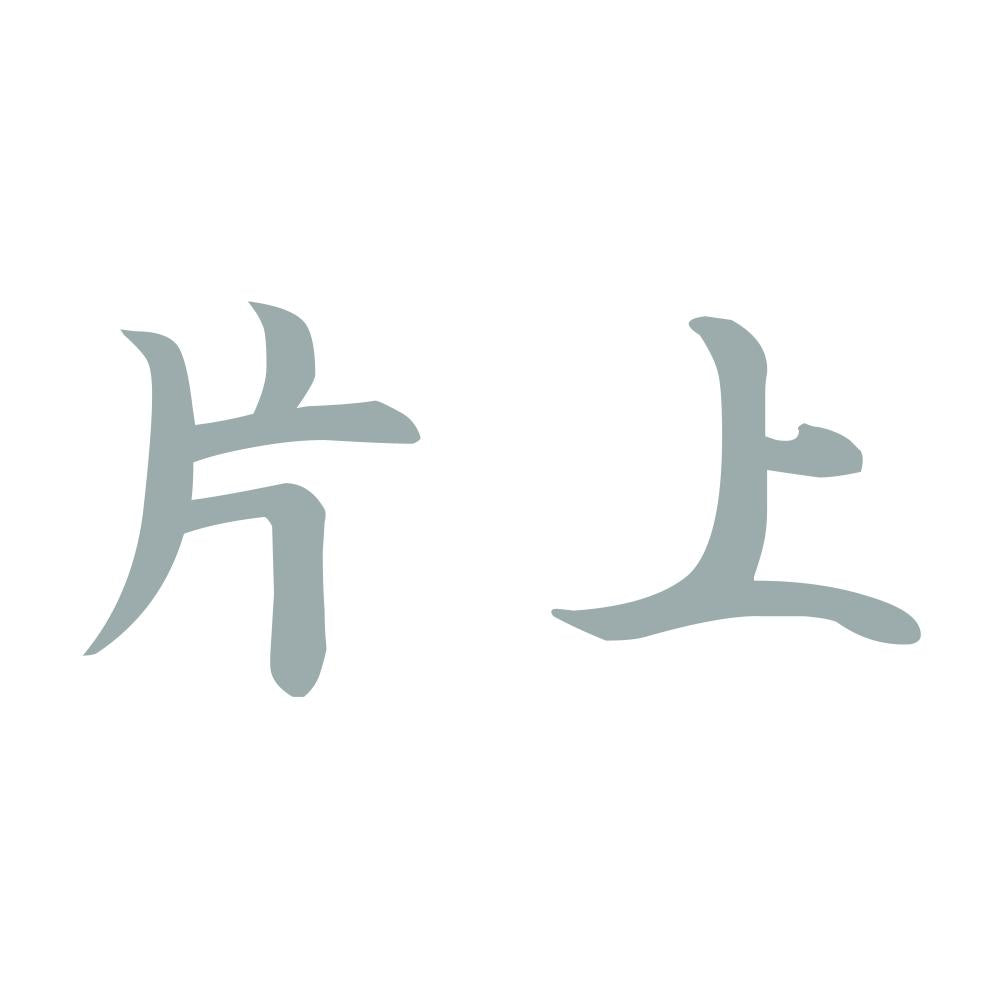 片上 10