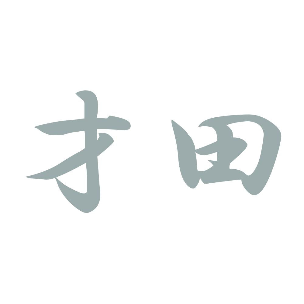才田 10