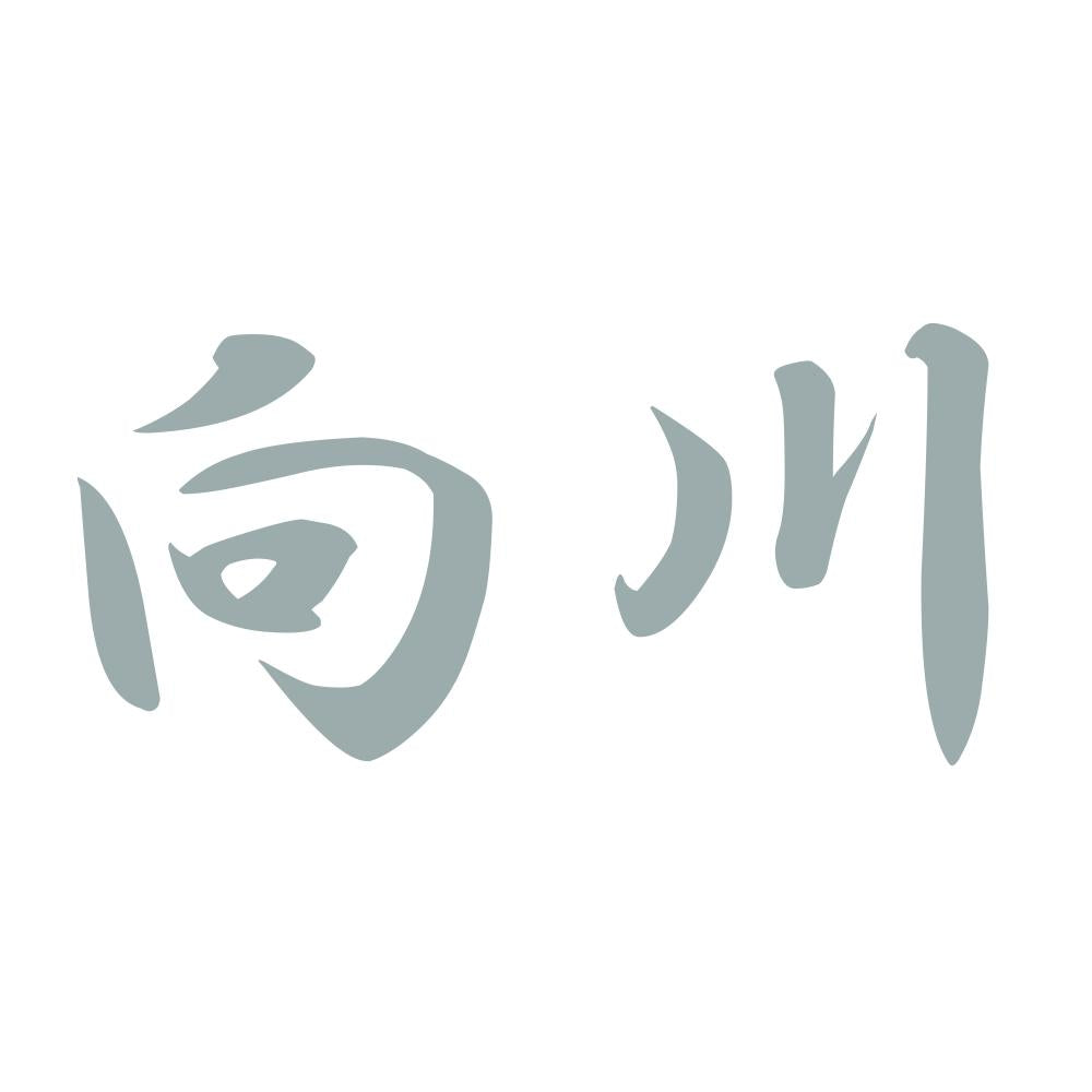 向川 10