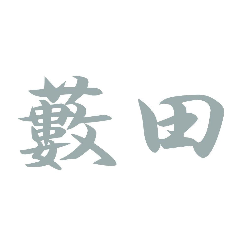 藪田 10