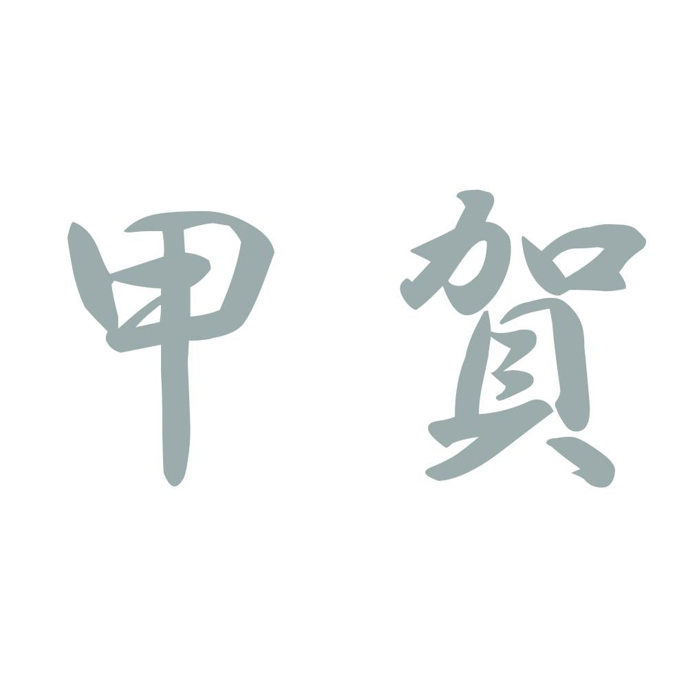 甲賀 10