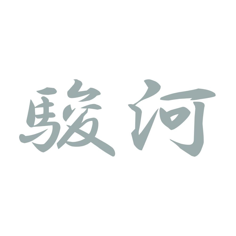 駿河 10