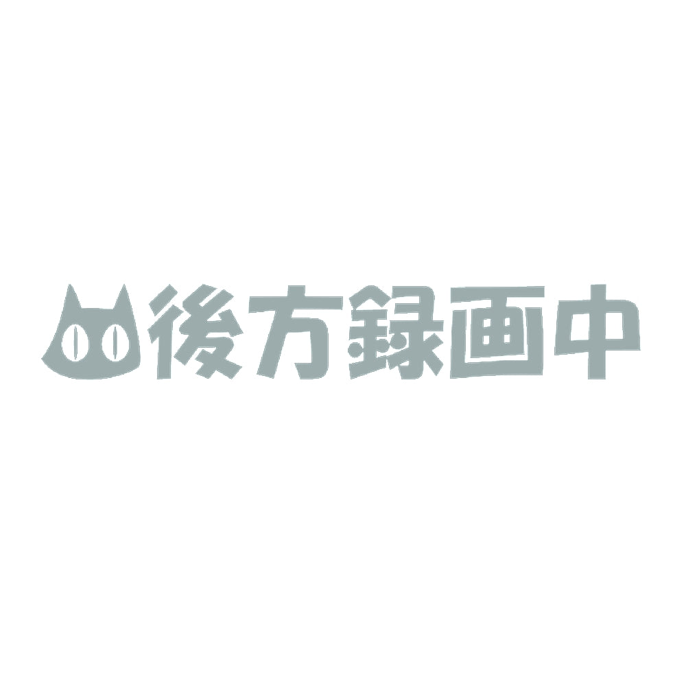 後方録画中猫 10