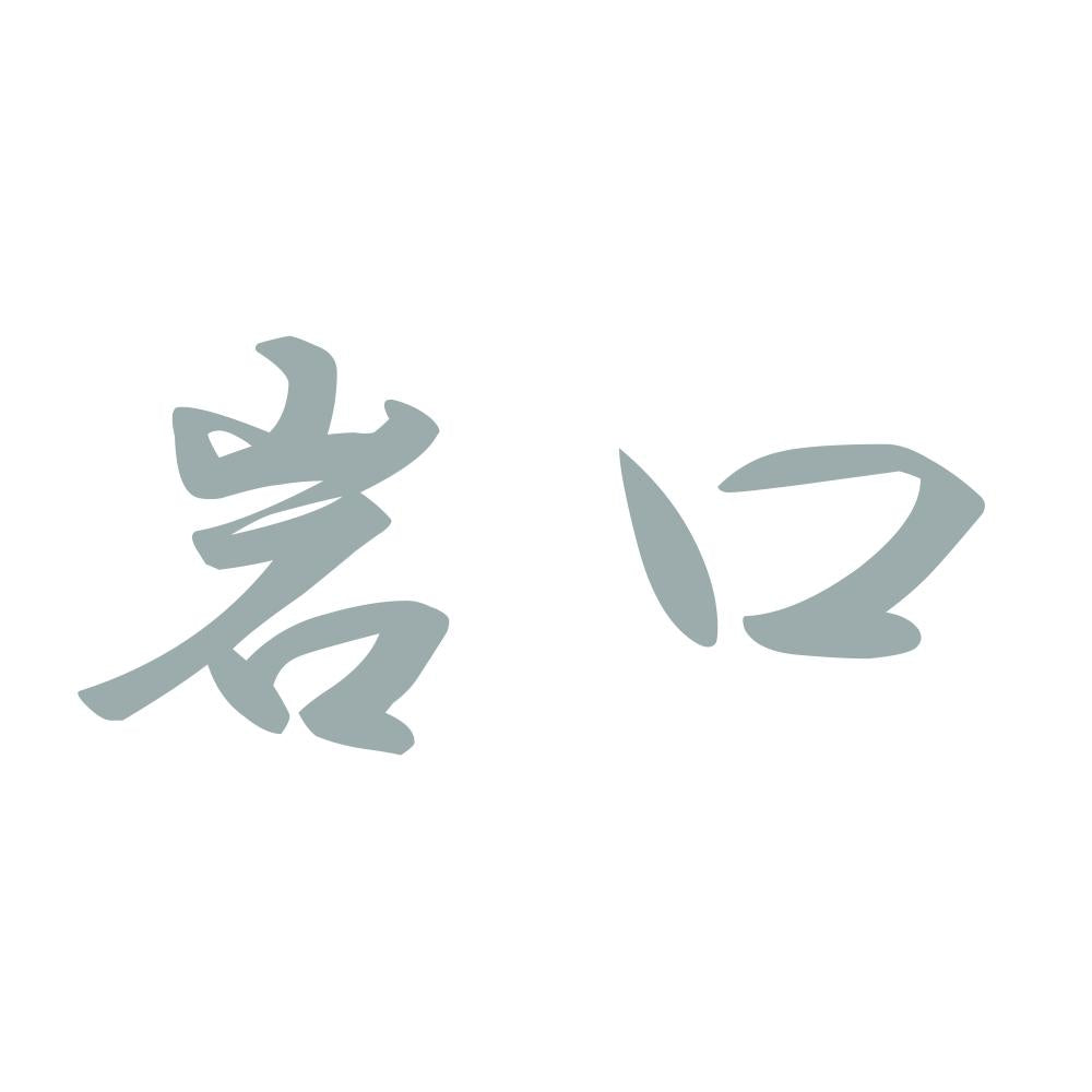 岩口 10
