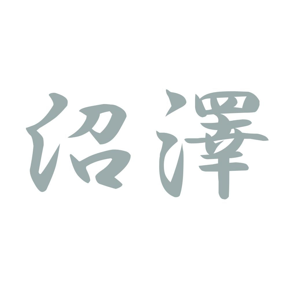沼澤 10