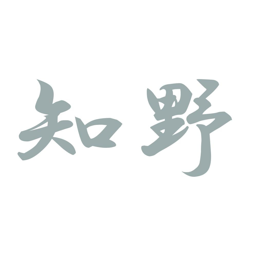 知野 10
