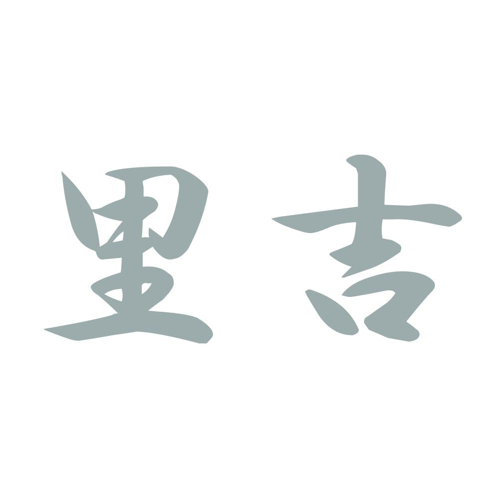 里吉 10