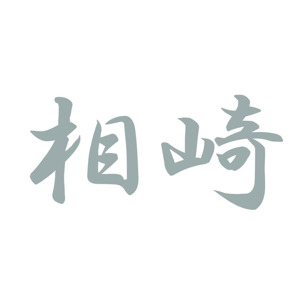相崎 10