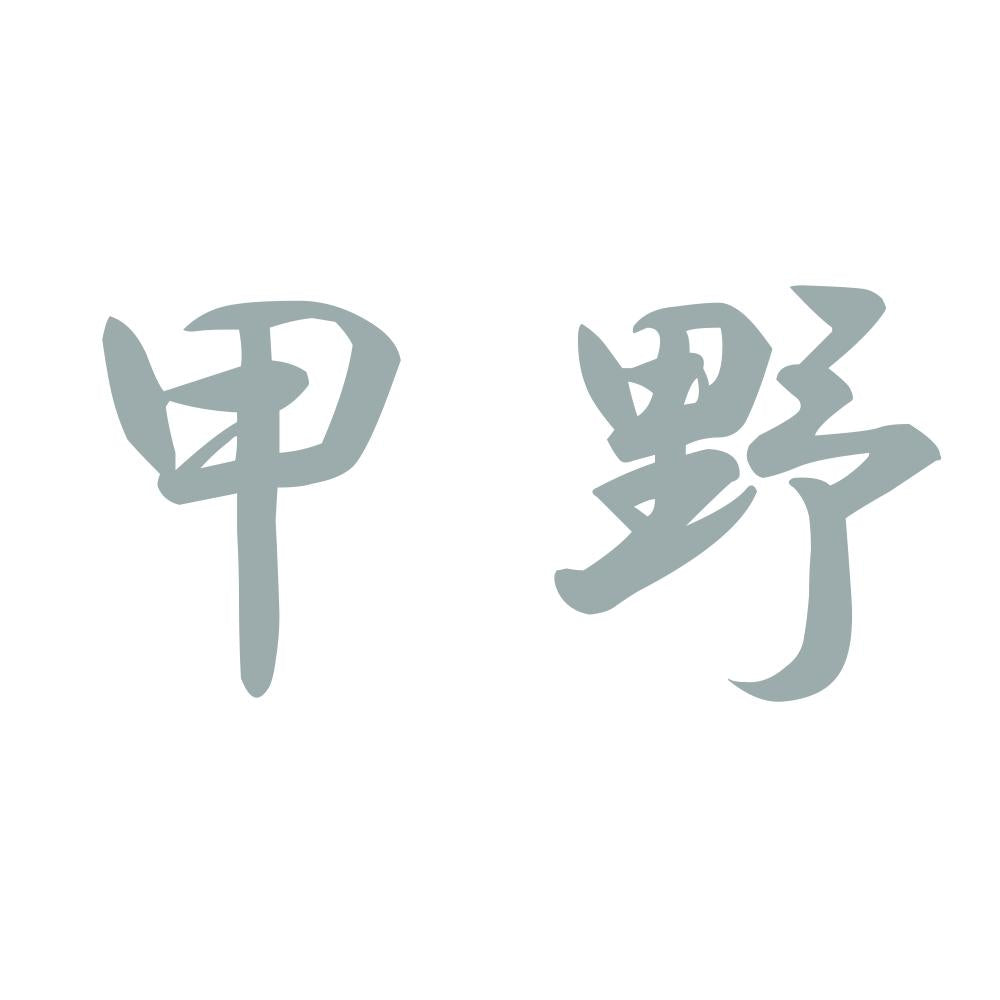 甲野 10