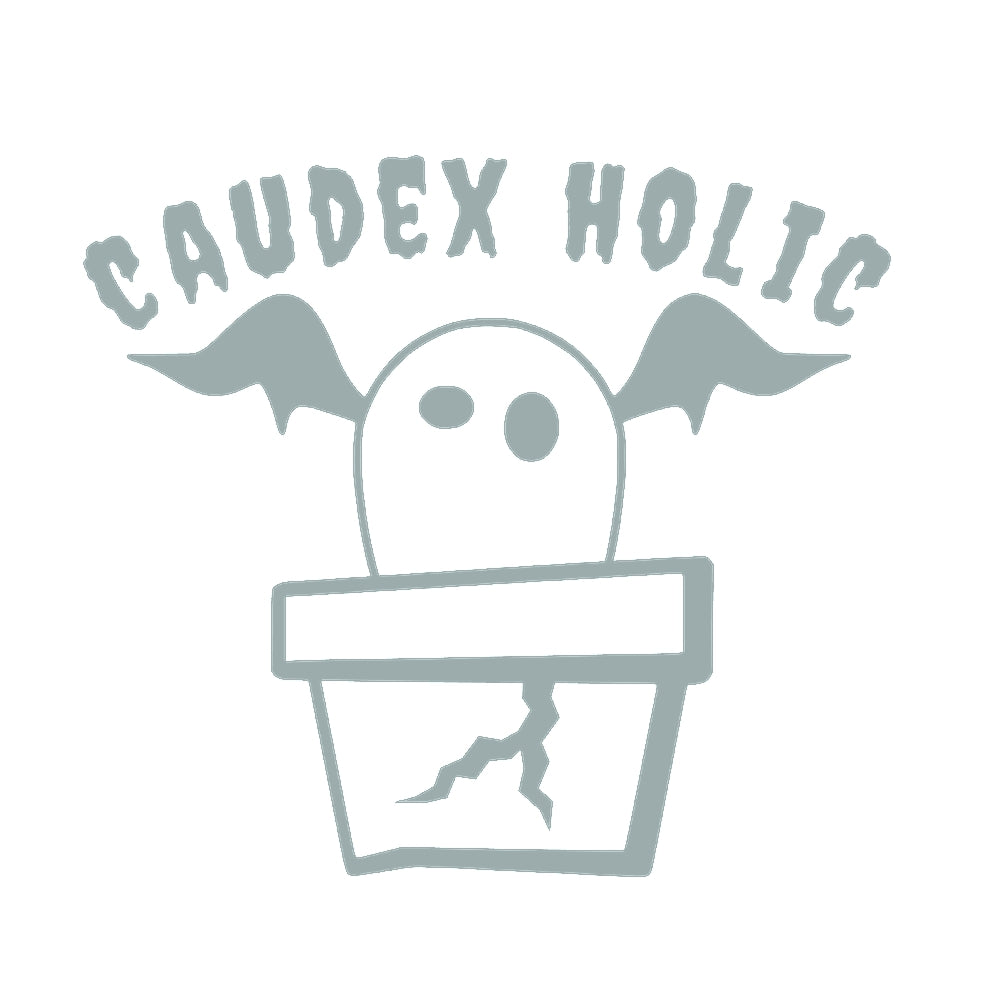 CAUDEX HOLIC(塊根植物中毒) 10