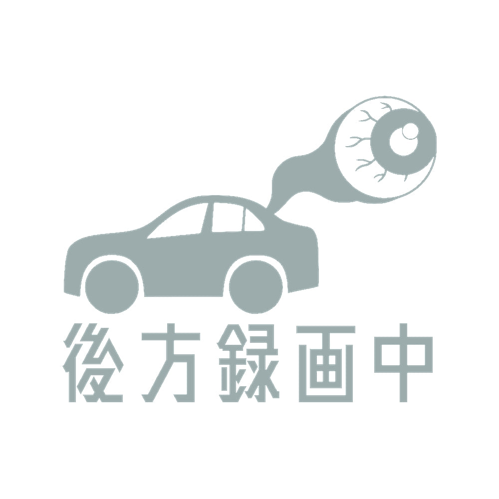 後方録画中 目玉 10