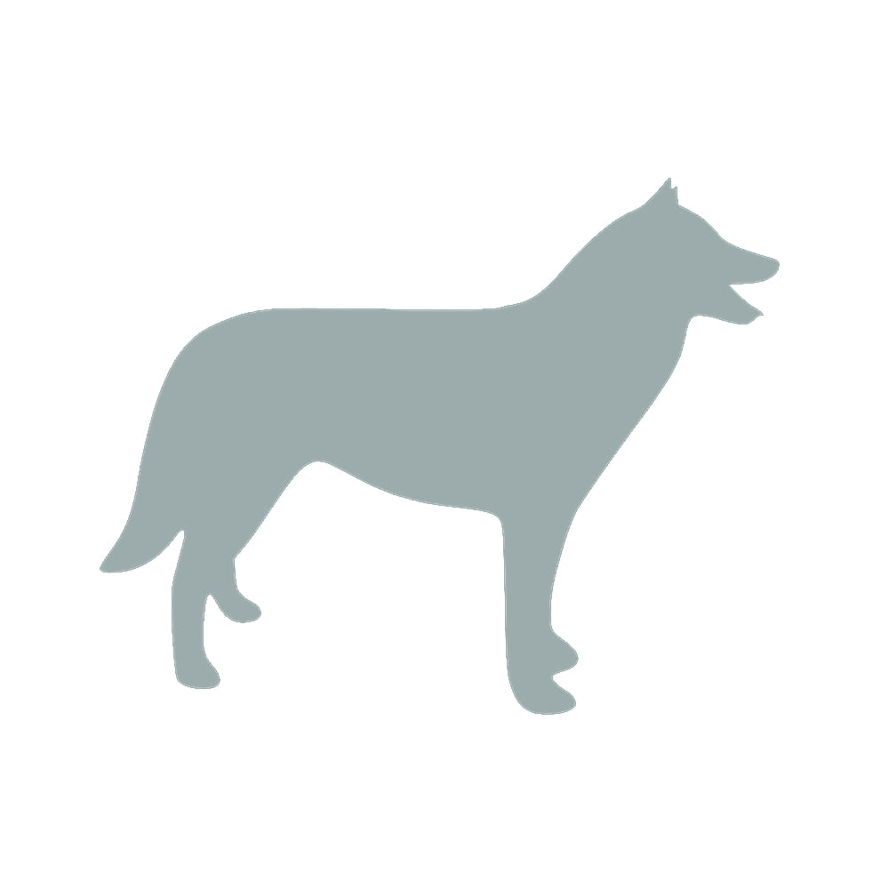 犬 (A) 10