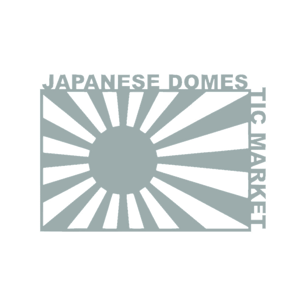 JAPANESE DOMESTIC MARKET 10