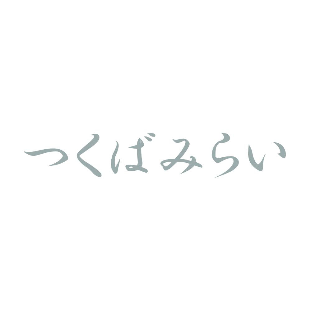 つくばみらい 10