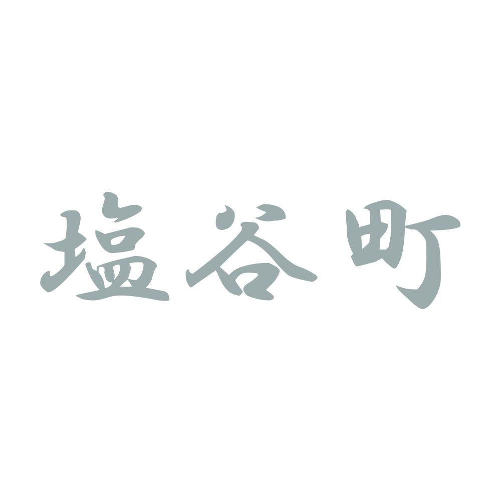 塩谷町 10