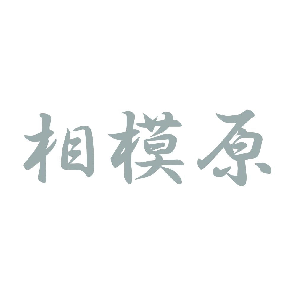 相模原 10