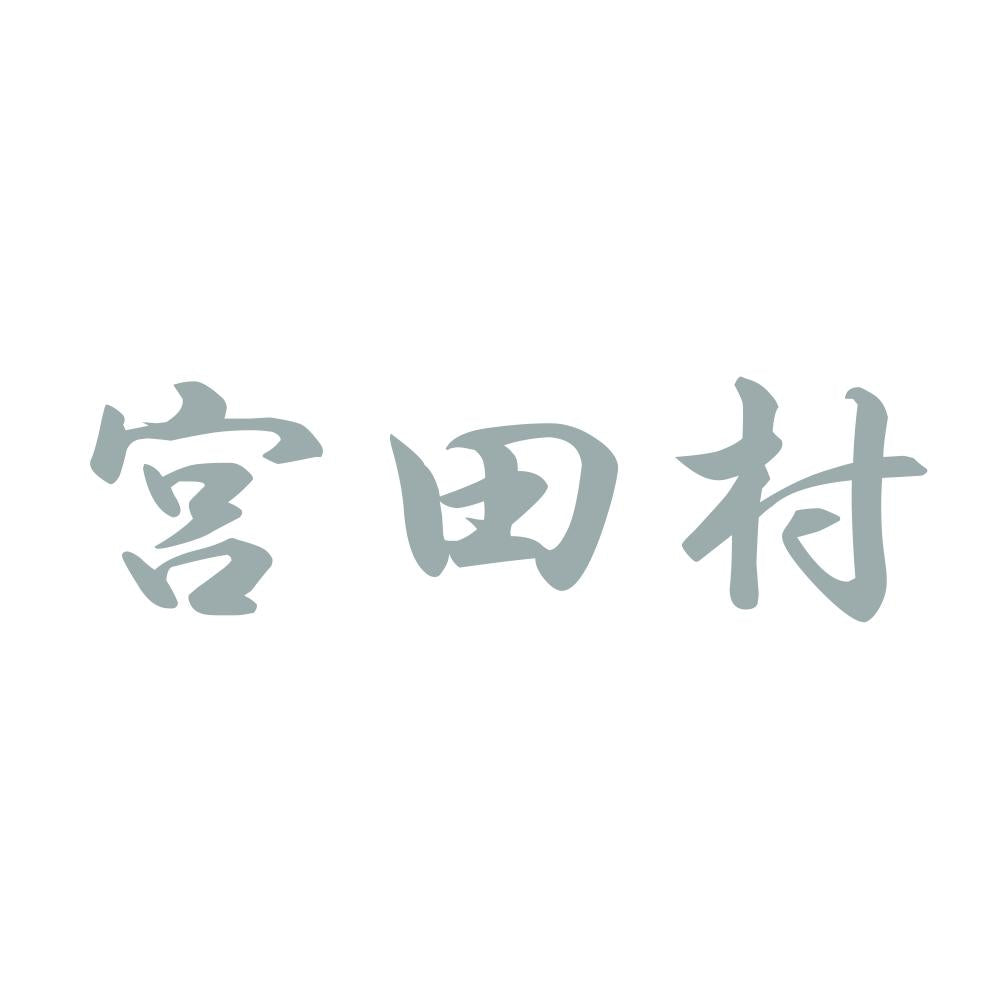 宮田村 10