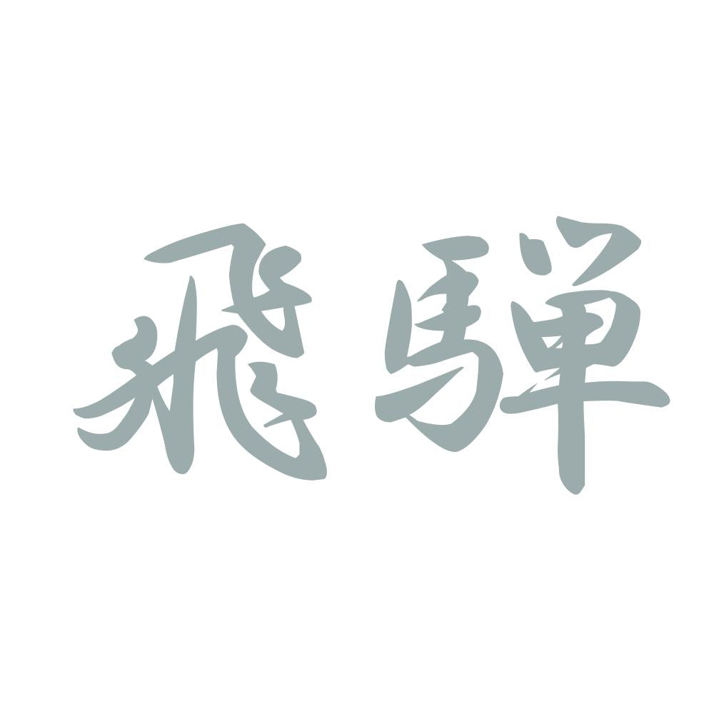 飛騨 10