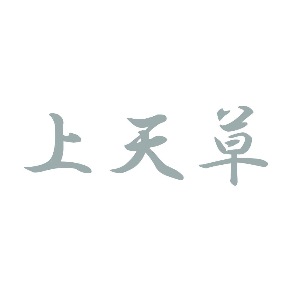 上天草 10